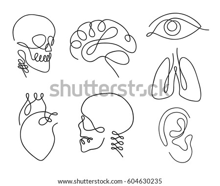 One line human organs set design silhouette.Logo design. Hand drawn minimalism style vector illustration. Royalty-Free Stock Photo #604630235