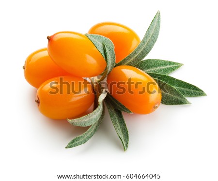 Sea buckthorn. Fresh ripe berries with leaves isolated on white background. Royalty-Free Stock Photo #604664045