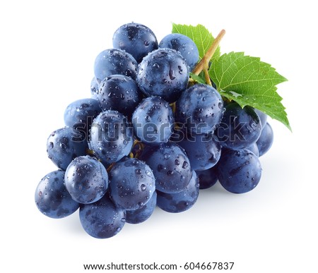 Dark blue grape with leaves isolated on white background. Wet fruit. With clipping path. Full depth of field. Royalty-Free Stock Photo #604667837