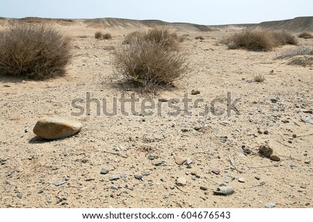 A dry lonely desert in Egypt