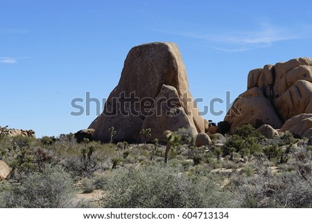 Joshua Tree | Rocks