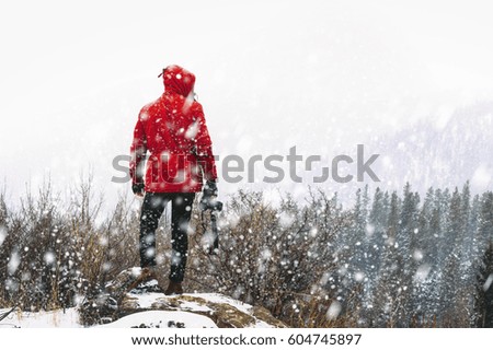Rear view of a woman standing on a rock in the snow, a forest in the distance