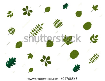 Leaf pattern background. green leaf and white background. vector illustration.