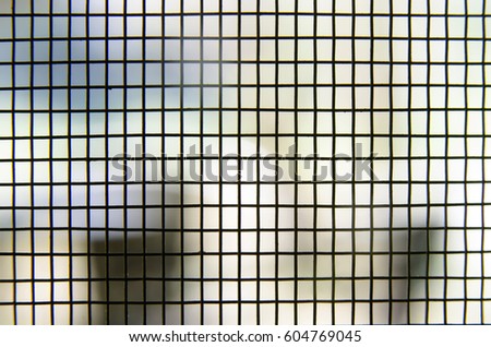 Mosquito wire screen. eye trick image, abstract illusion dot at cross point, grid pattern as background, overlay for art work