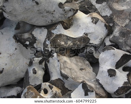 A rock. Limestone.