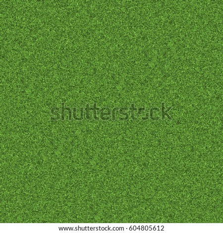 Texture green lawn