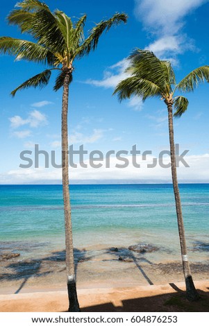Palm trees and the ocean in Maui, state of Hawaii.