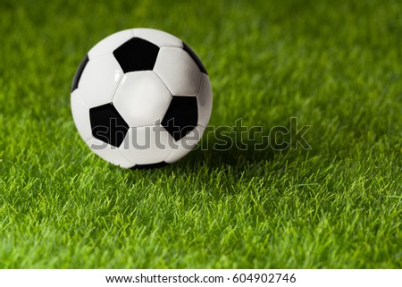 Soccer ball on a green grass close-up. Concept - football passion