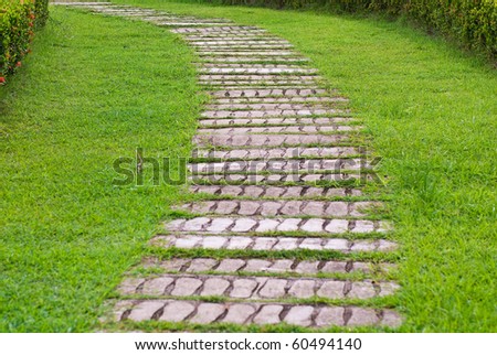 garden stone path with grassgarden stone path with grass