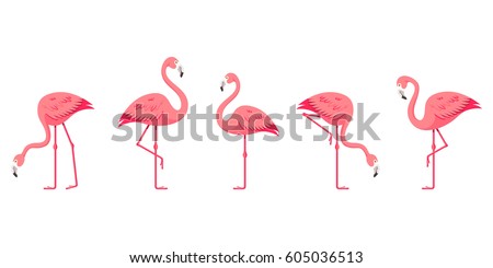 Flamingo Royalty-Free Stock Photo #605036513