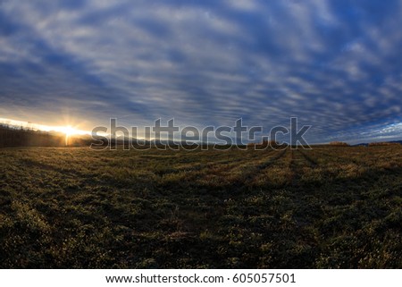 Teton Valley Sunrise