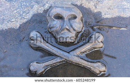 Cheerful roger on gravestone photo close up