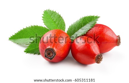 Rosehip isolated on a white background. Fresh raw briar berries with leaves. Royalty-Free Stock Photo #605311181