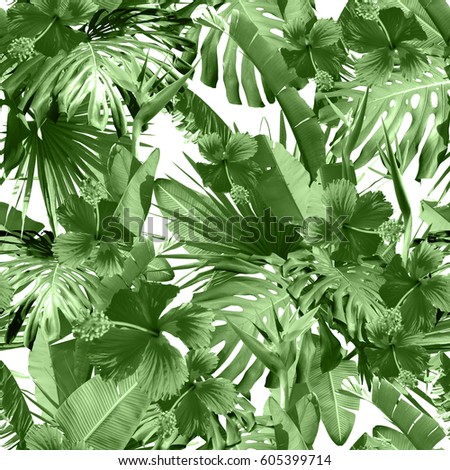 Tropical floral trendy color jungle seamless pattern. Amazing photo collage green color natural print wallpaper. Leaves palm, banana, monstera, hibiscus, bird of paradise flowers background.