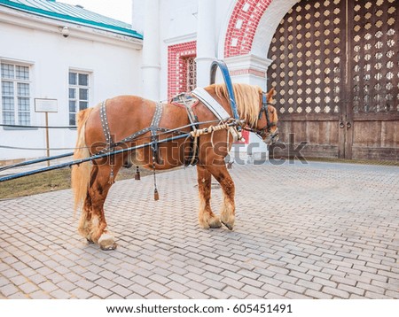 Horse carriage in Kolomenskoye park in Moscow, Russia. Popular landmark.
