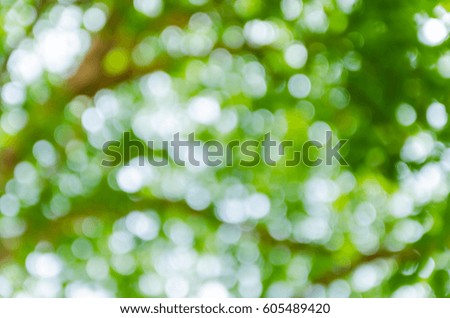 Bokeh in a green natural background, defocused