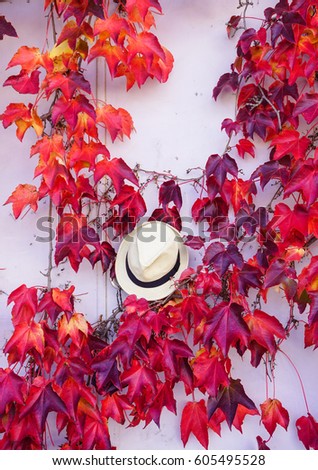 A paper hat with autumn leaves on wall in Nikko, Japan.