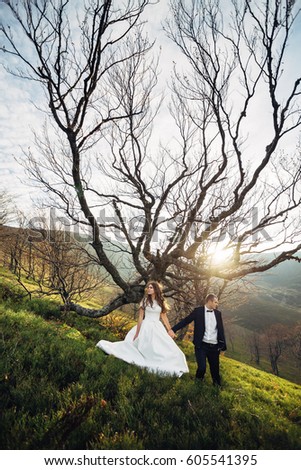 Sun shines through the dry branches of tree before which wedding couple stands