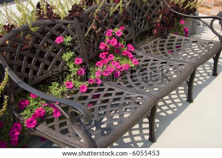 Chairs and Flowers