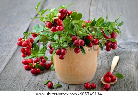 Bouquet of red cowberry in wooden bowl on rustic table.