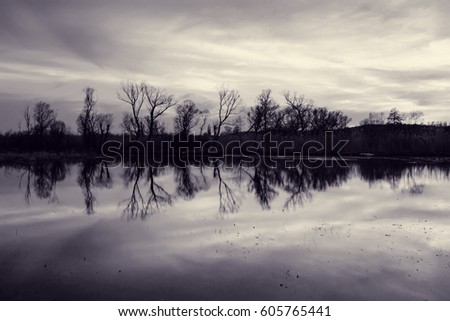 Spring landscape on meadow. Trees on riverbank are reflected in water at sunset. Beautiful evening cloudy sky. Toned black and white photo