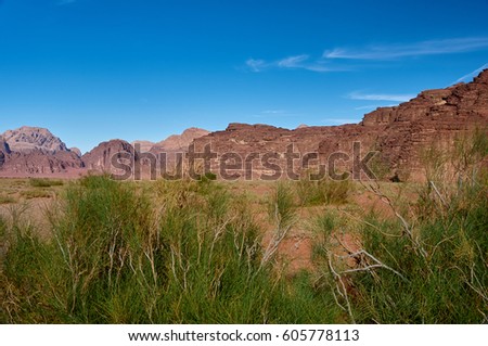 Wadi Rum desert. Jordan.