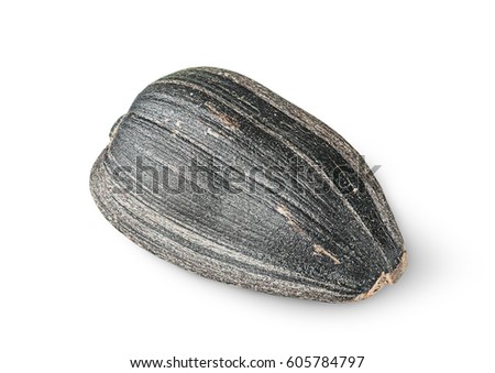 Single of sunflower seed isolated on white background