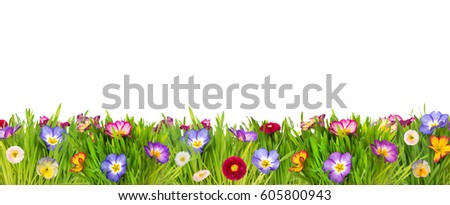 Colorful spring flower meadow Royalty-Free Stock Photo #605800943