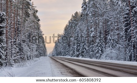 Forest highway through an old coniferous forest at winter