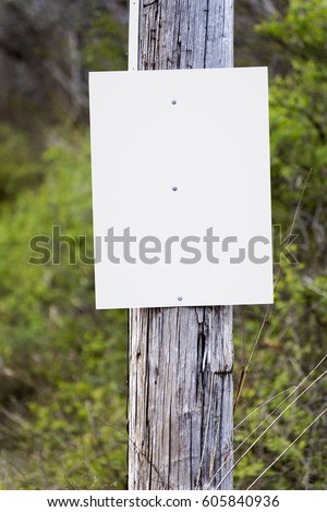 A blank sign on a telephone pole awaits your announcement, ad or message.