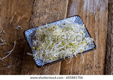 Egg and sprouts on a old table