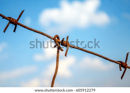 Barbed wire on the sky background