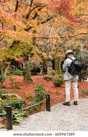 A man take photo maple leaf in autumn , Japan