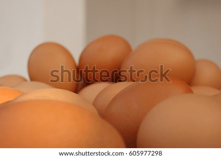 egg,eggs background