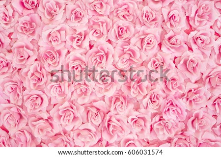 Background image of pink roses Royalty-Free Stock Photo #606031574