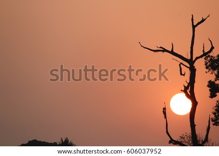 A beautiful Sun Light photo

