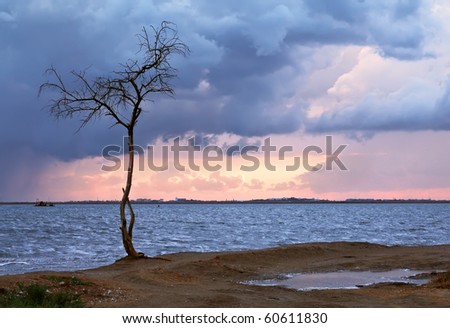 The cloudy sky and storm clouds, lonely tree costs on a wind
