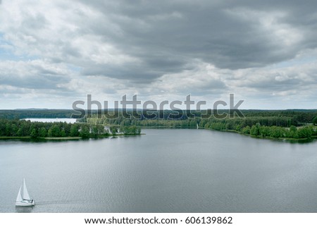 View of the lake in the forest