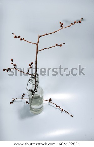Water bottle with twig with red buds.  Vertical photo with copy space to the right. High angle view.