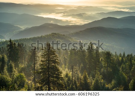 Mountain forest at misty morning. Beskidy Mountains in Poland.  Royalty-Free Stock Photo #606196325