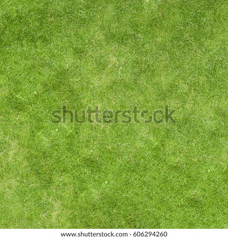 Texture green lawn grass