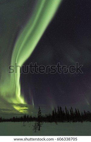 Northern lights, Lapland, Sweden