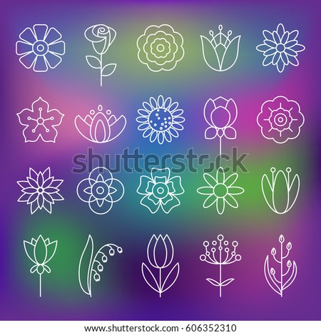 Flower icons with outline style vector design elements