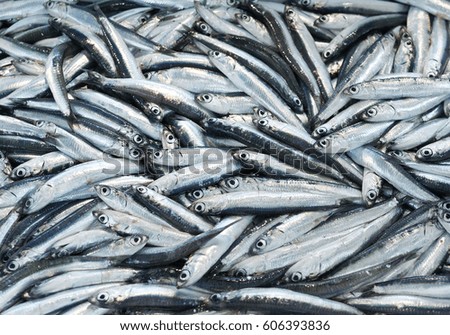 detail of anchovies at market in italy