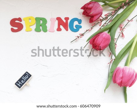 spring concept background. hello spring. spring background with space for your text. 