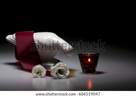 porcelain mourning dove for sympathy card on dark background