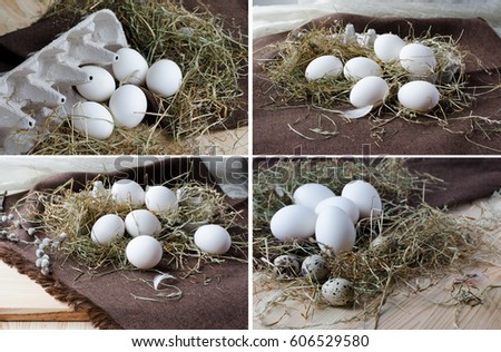  collage large white eggs in cardboard form in dry grass