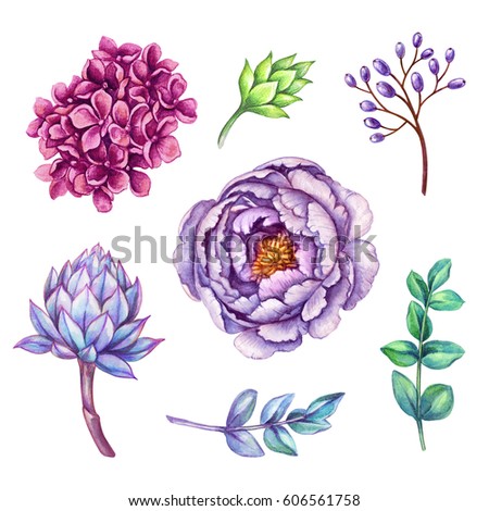 watercolor illustration, floral clip art set, wild flowers collection, bouquet design elements, isolated on white background