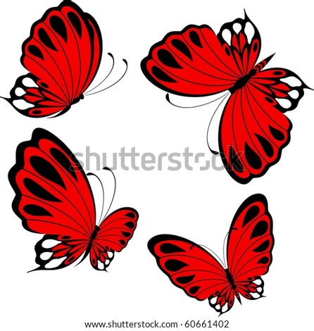 Beautiful butterfly on a white background