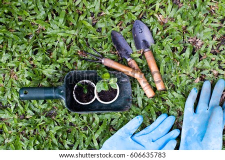 Plant tree, little tree with garden tools and Blue gloves in wood box, selective focus. Royalty-Free Stock Photo #606635783